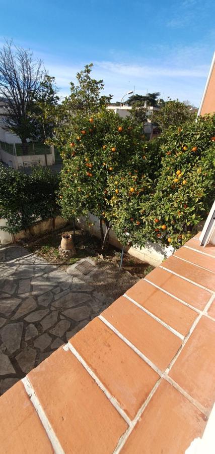 Appartement Entier Au Dessus De Villa, Climatisation Reversible Poele A Bois Tres Chaleureux , Wi Fi Parking Privee Gratuit Situation 500 M, Plage Et Centre Ville Sanary-sur-Mer Exterior foto